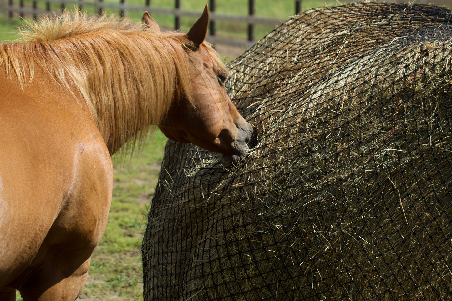 Hay Chix® Large Bale Net - 6'