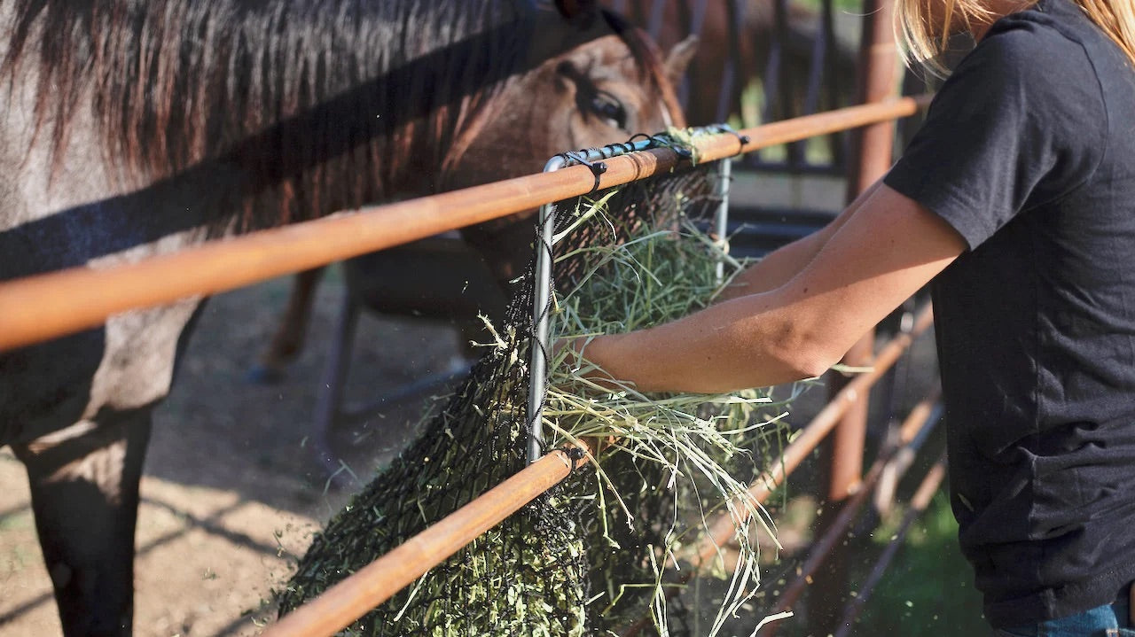 Hay Chix® Nets Panel Feeder