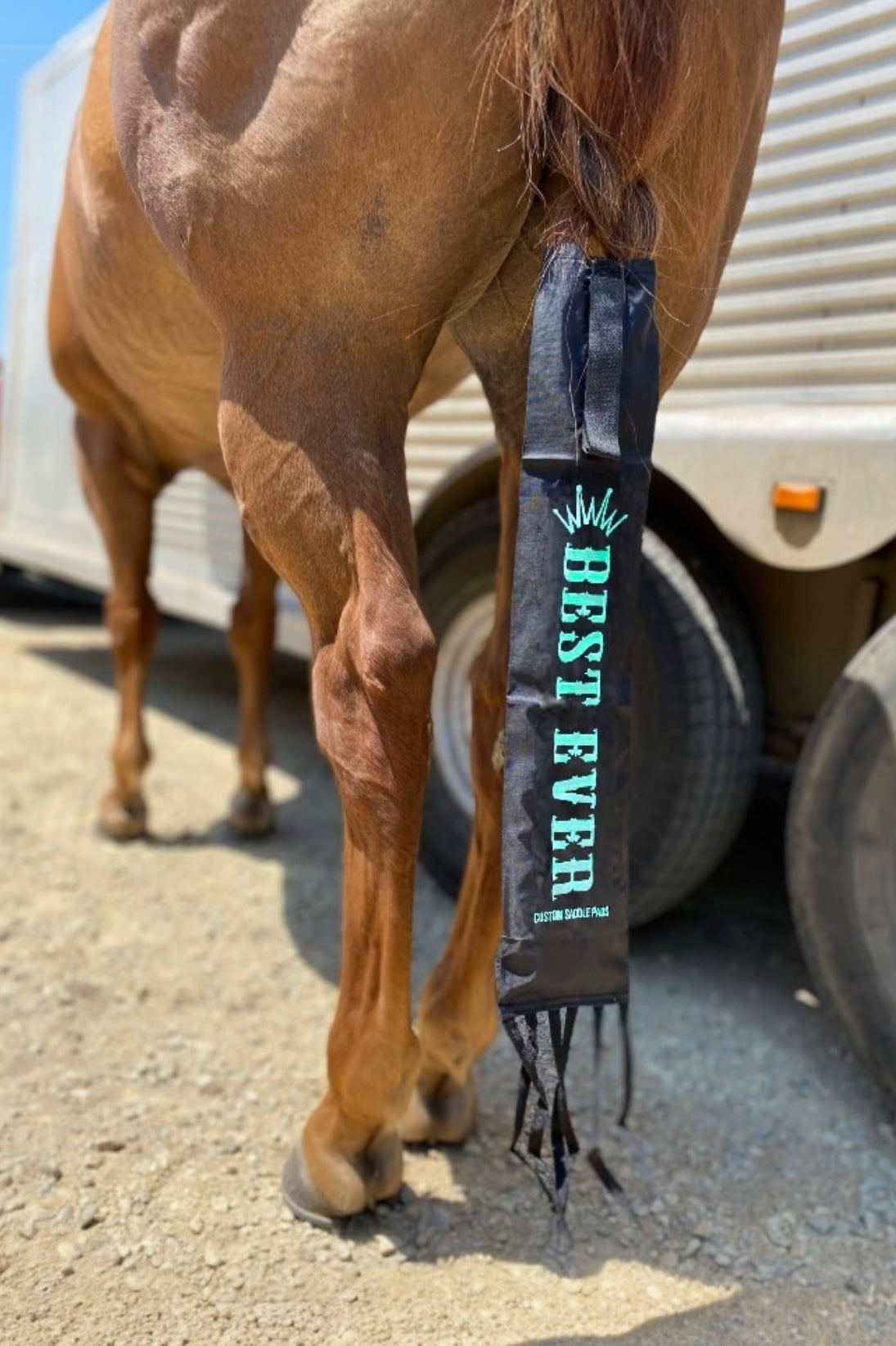 Best Ever Velcro Tailbags - Black & Teal