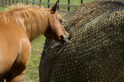 Hay Chix® Large Bale Net - 6'