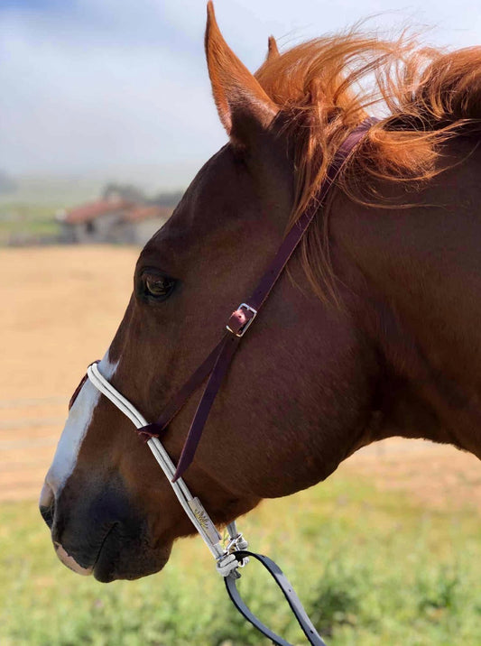 Best Ever Headset + Tie Down Strap