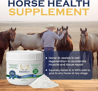 EQUINETY HORSE XL - SUPPLÉMENT POUR CHEVAUX 