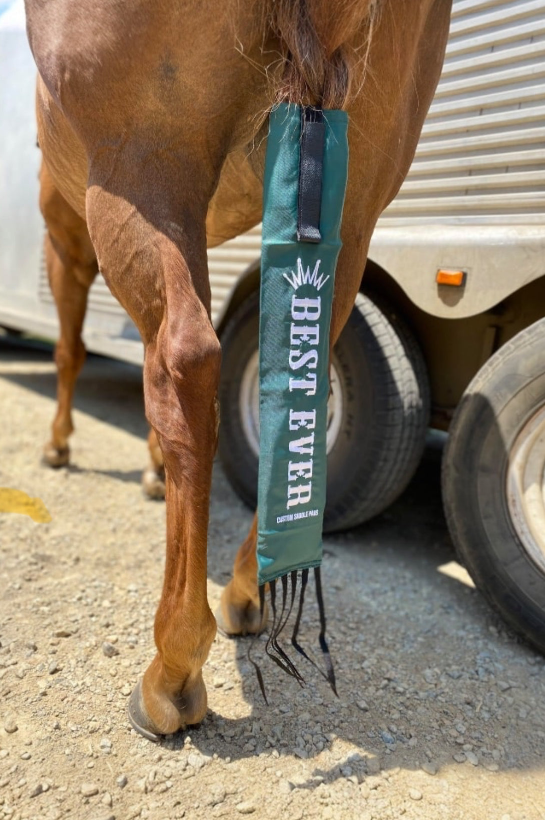 Best Ever Velcro Tailbags - Turquoise