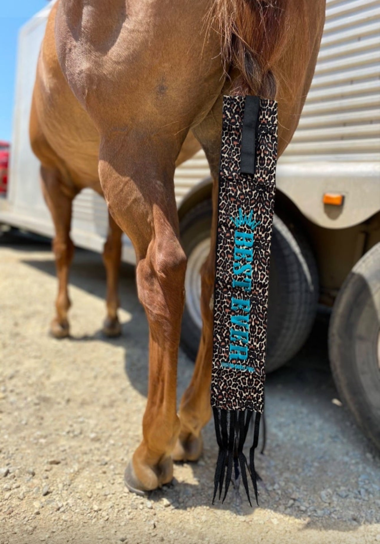 Best Ever Velcro Tailbags - Cheetah