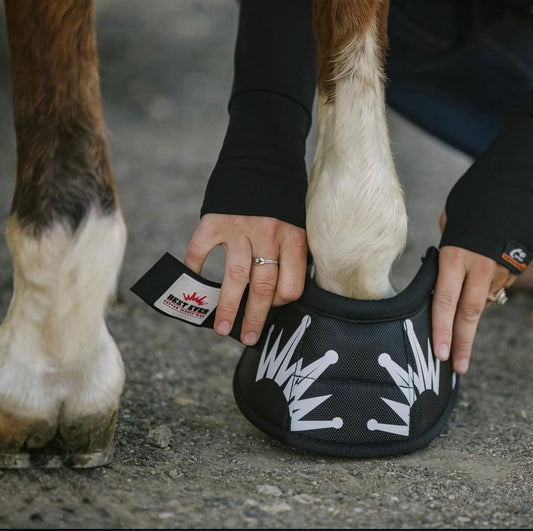 Ride for the crown - Bell boots