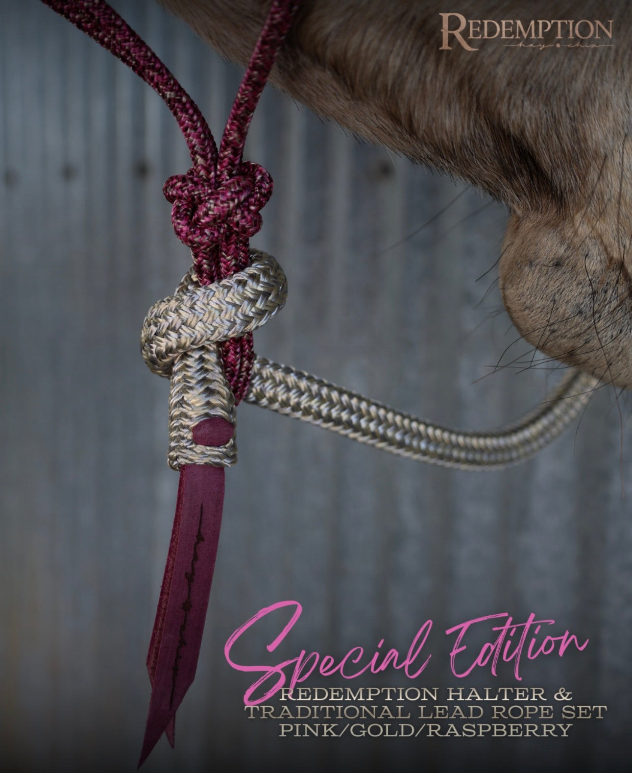 Hay Chix® Halters & Lead Rope set - Pink/Gold/Raspberry