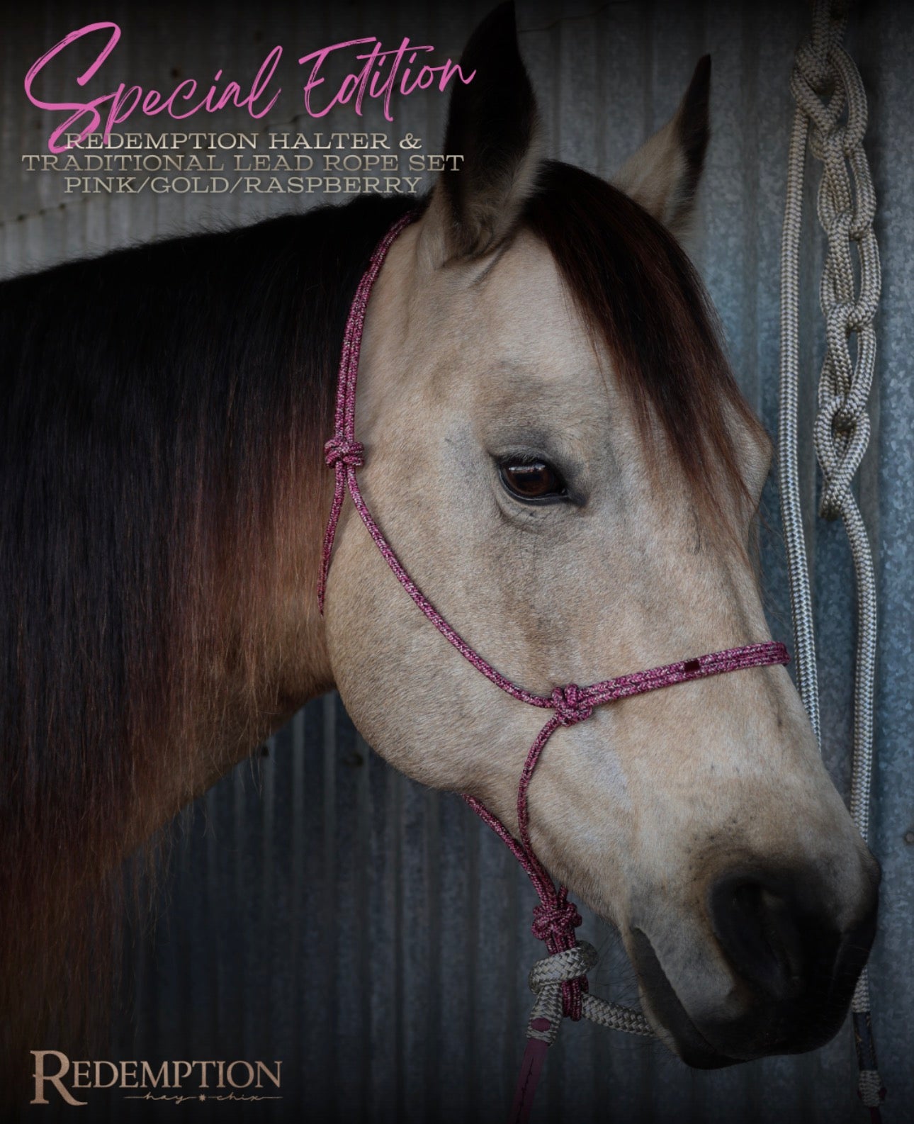 Hay Chix® Halters & Lead Rope set - Pink/Gold/Raspberry