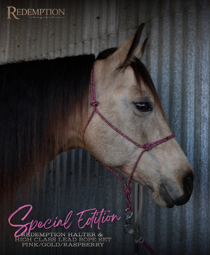 Hay Chix® Halters & Lead Rope set - Pink/Gold/Raspberry