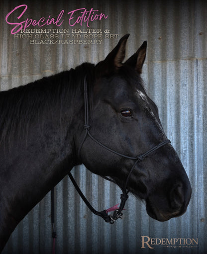 Hay Chix® Halters & Lead Rope set -Black/Raspberry