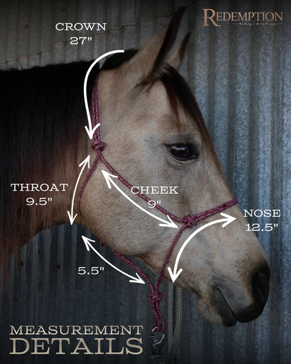 Hay Chix® Halters & Lead Rope set -Black/Raspberry