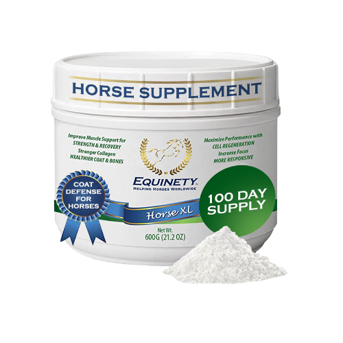 EQUINETY HORSE XL - SUPPLÉMENT POUR CHEVAUX 
